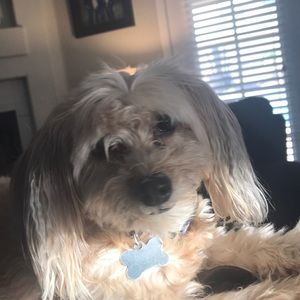 Meet your Posher, Lisa